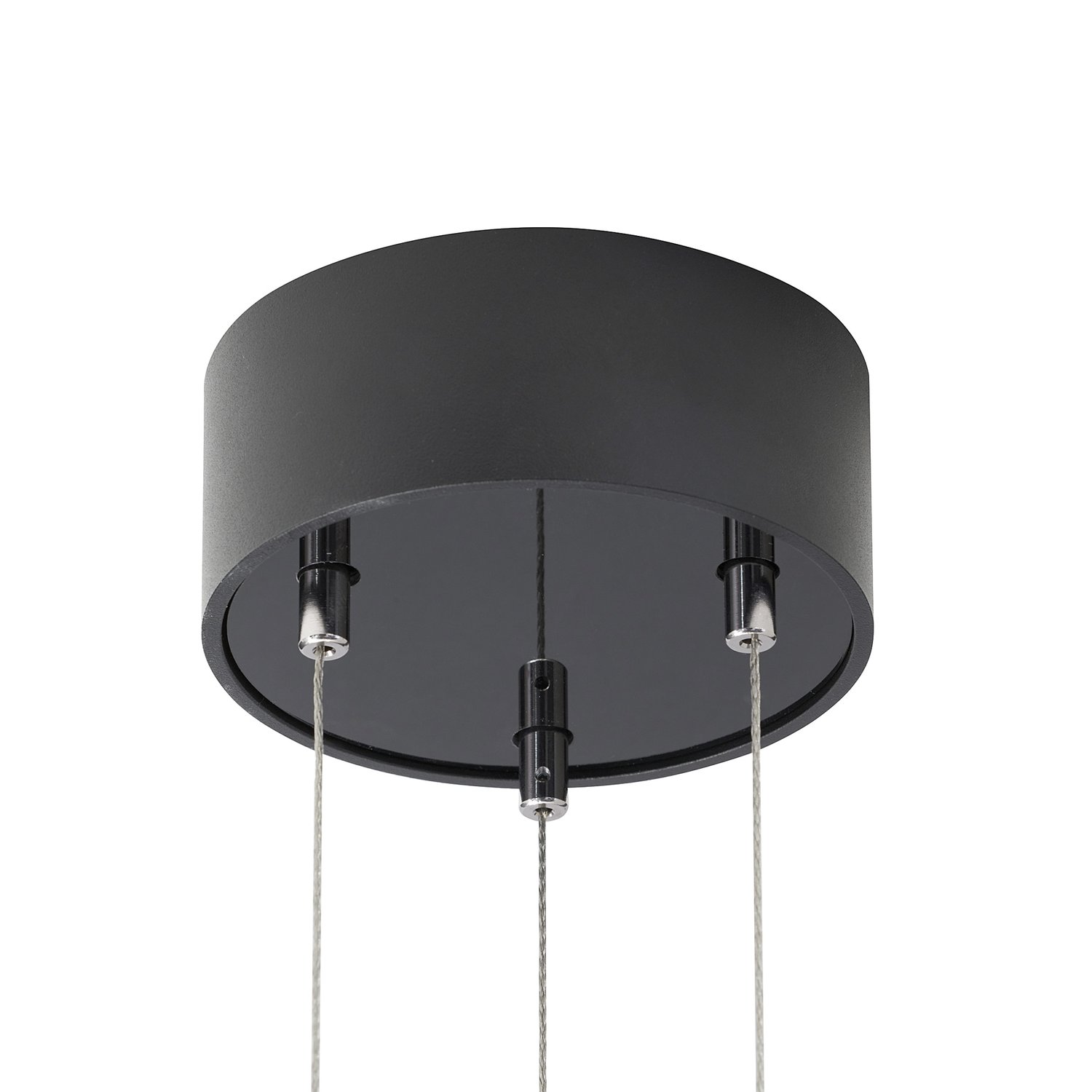 Oligo Trofeo hanglamp canopy