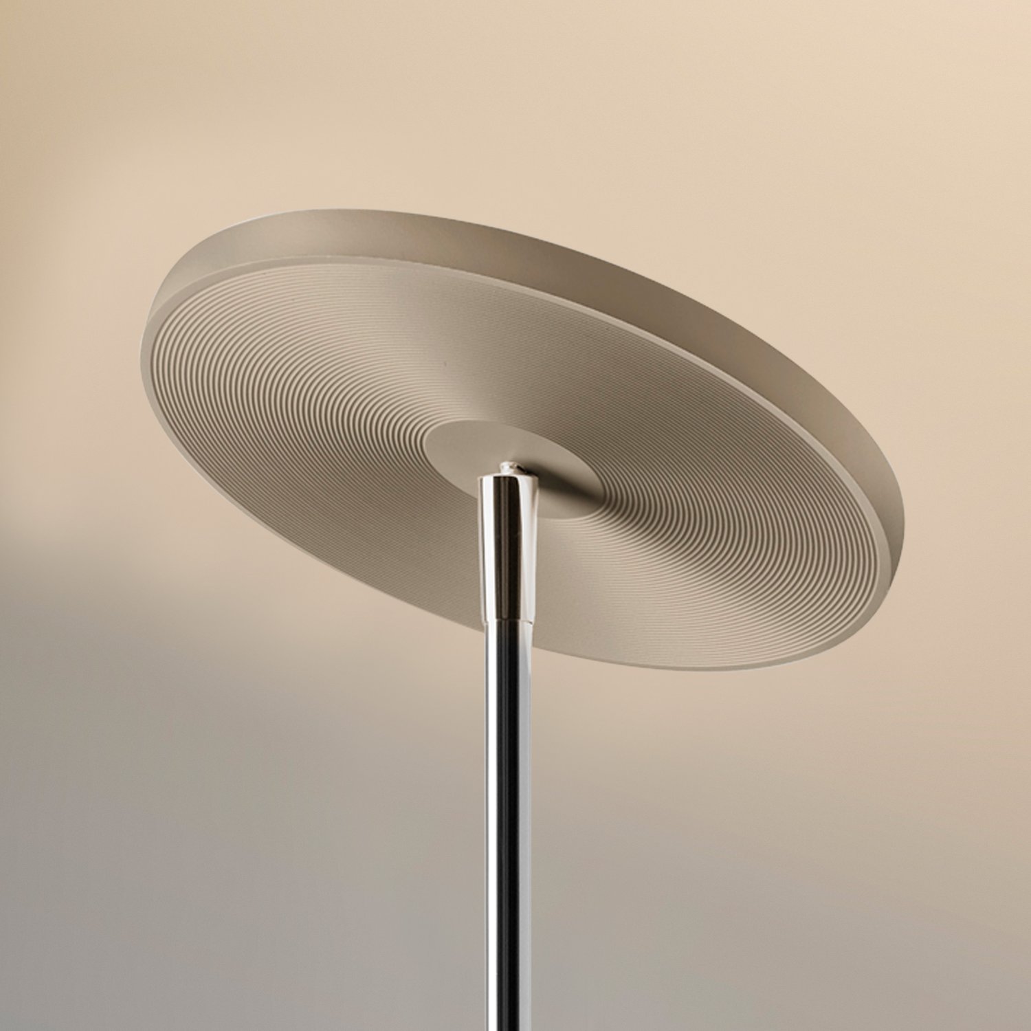 Oligo Decent Max vloerlamp champagne