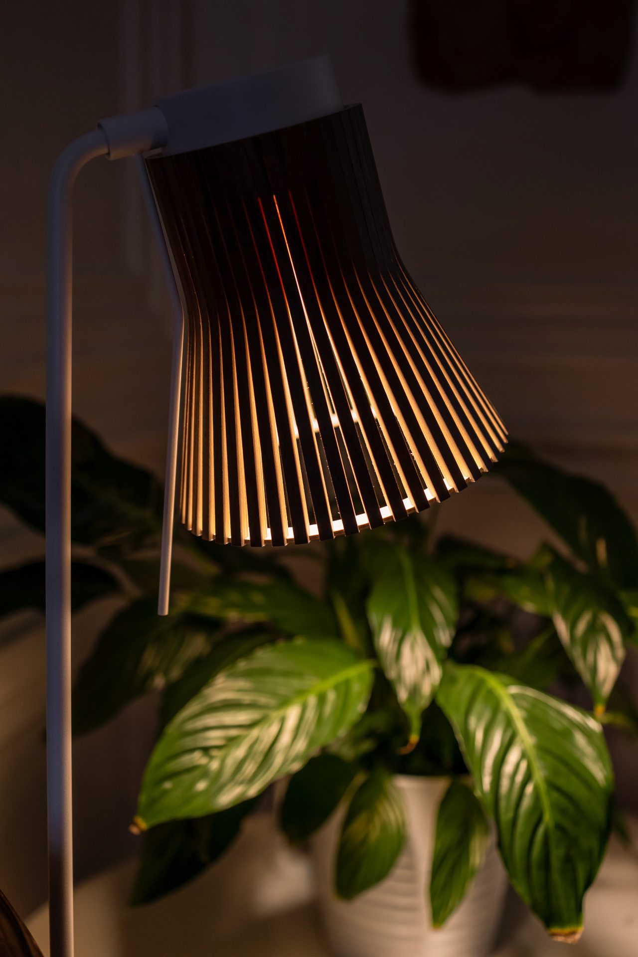 Secto Design Petite 4610 leeslamp walnoot