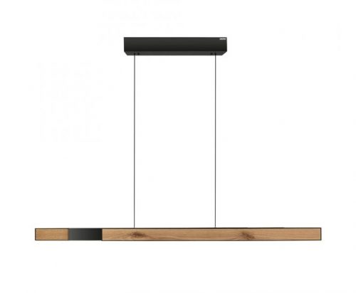 Paul Neuhaus PURE Moto Rise Holz natur elektrisch