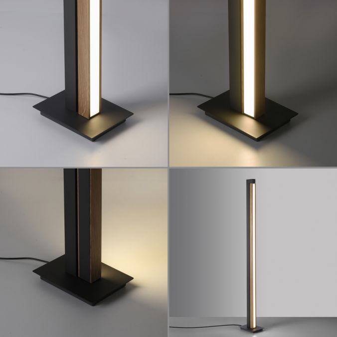 Paul Neuhaus PURES LINES Vloerlamp draaibaar