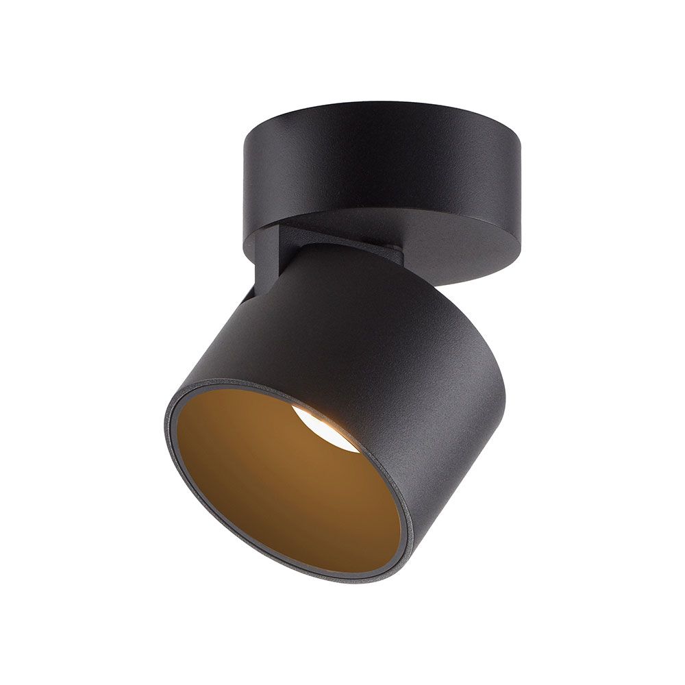 Paul Neuhaus Pure Cup spot in Black Pearl Paul Neuhaus Pure Cup spot