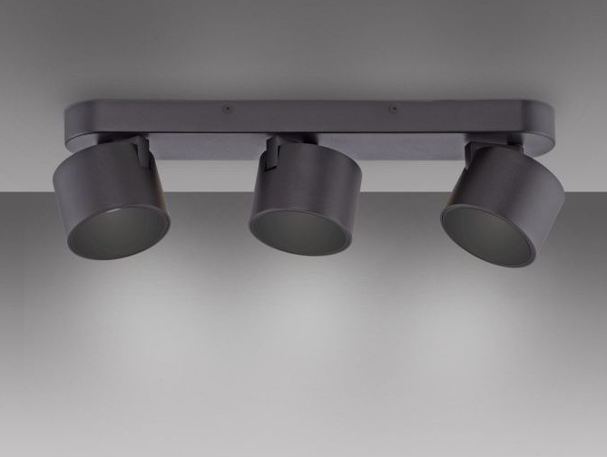 Paul Neuhaus Pure Cup spots in de kleur Black pearl (zwart) Paul Neuhaus Pure Cup spots zwart